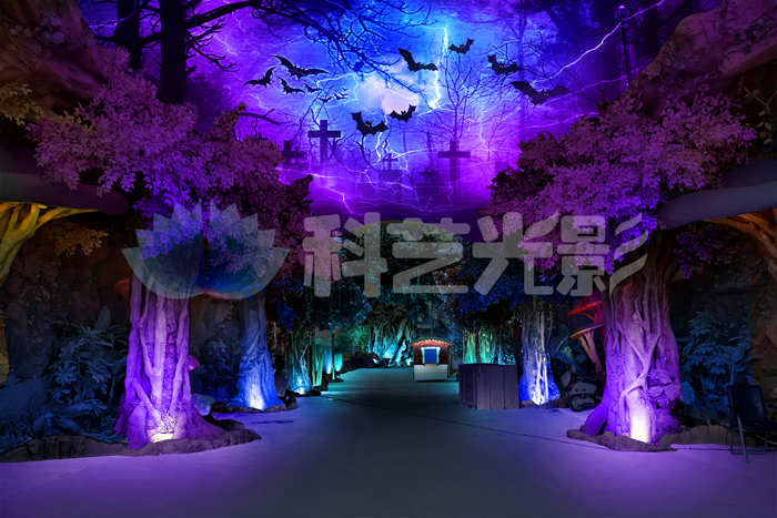 主題樂園燈光秀.jpg