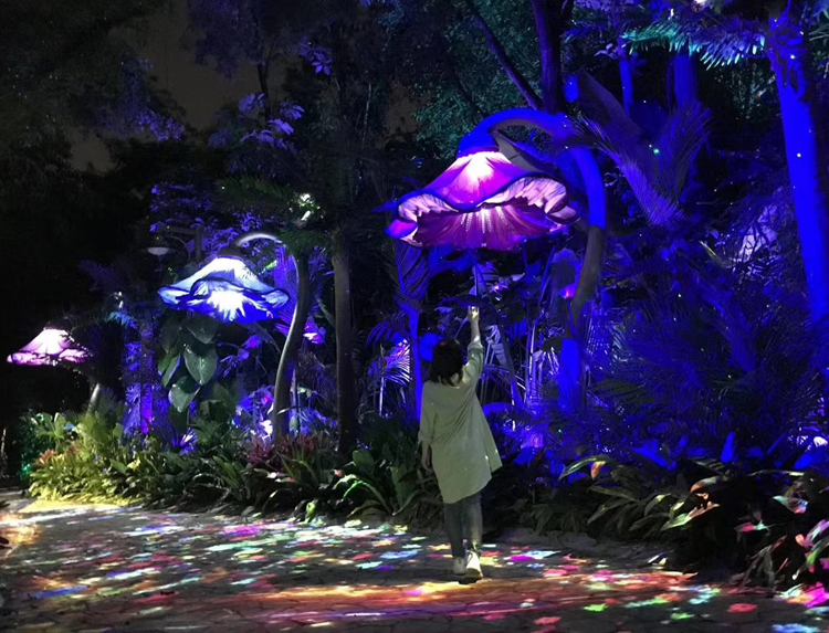 森林夜游光影秀.jpg